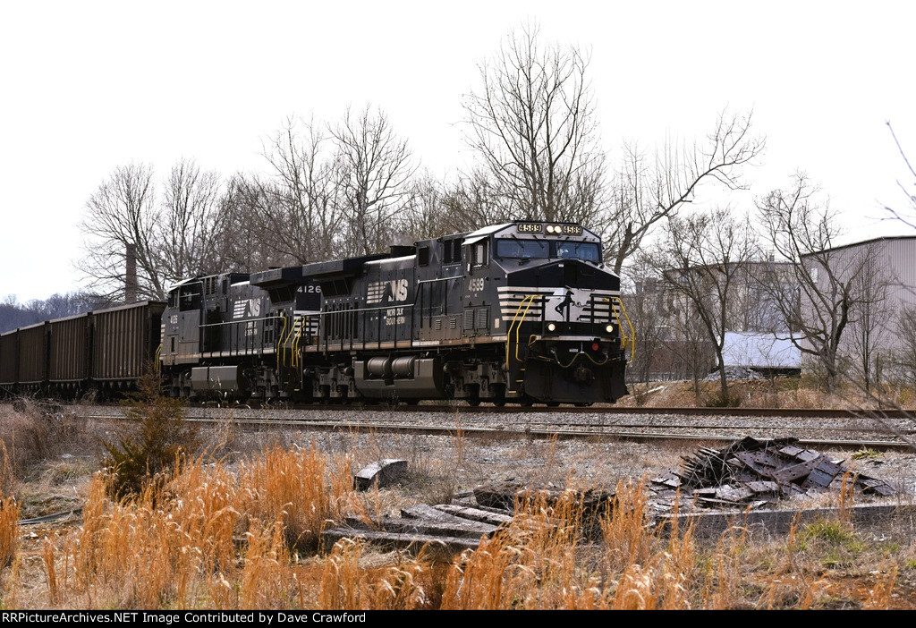 NS 4589